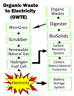 Organic Waste to Electricity