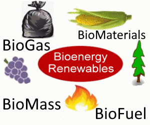 BioEnergy Renewables