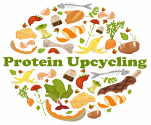 Protein Upcycling