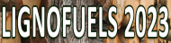Lignofuels 2023